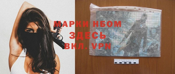 крисы Богородицк
