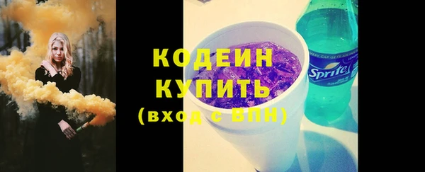 крисы Богородицк
