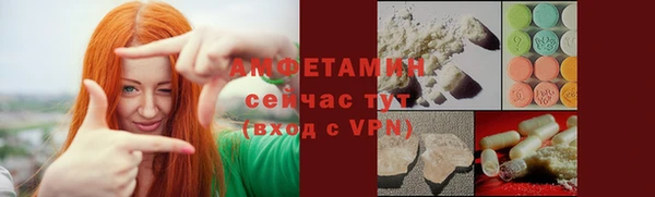 крисы Богородицк