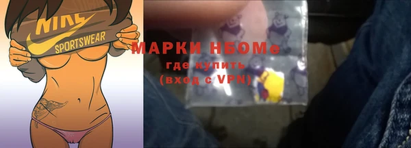 крисы Богородицк