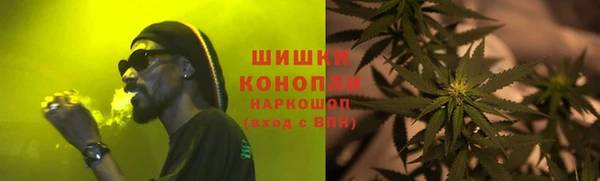 мдпв Богданович