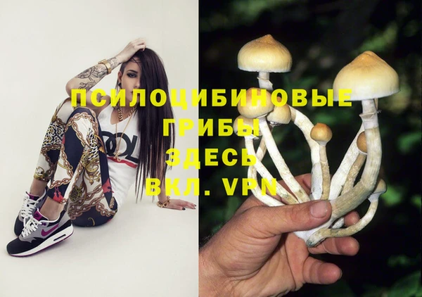 крисы Богородицк