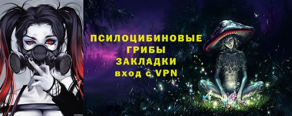таблы Сосновка
