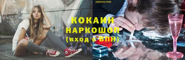 мдпв Богданович