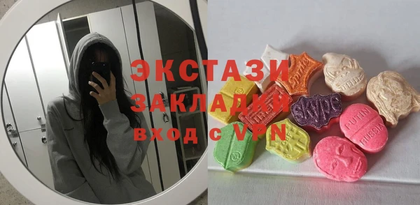 крисы Богородицк