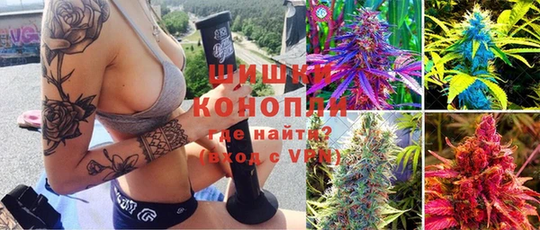 мдпв Богданович